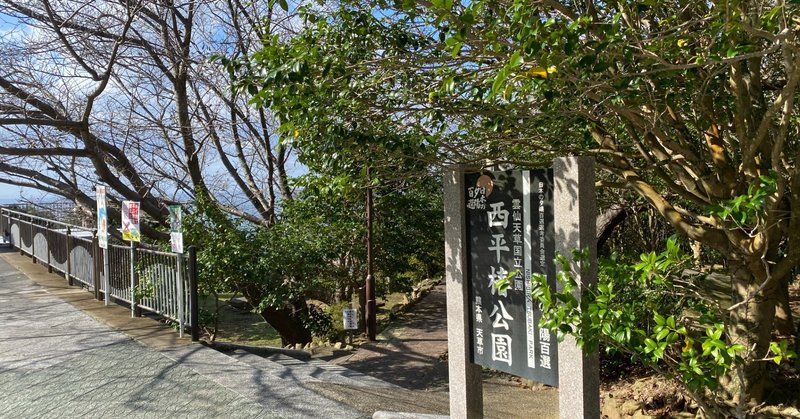西平椿公園 今年の開花予想 Ring A Bell Note 西平椿公園 今年の開花予想 Ring A Bell Note