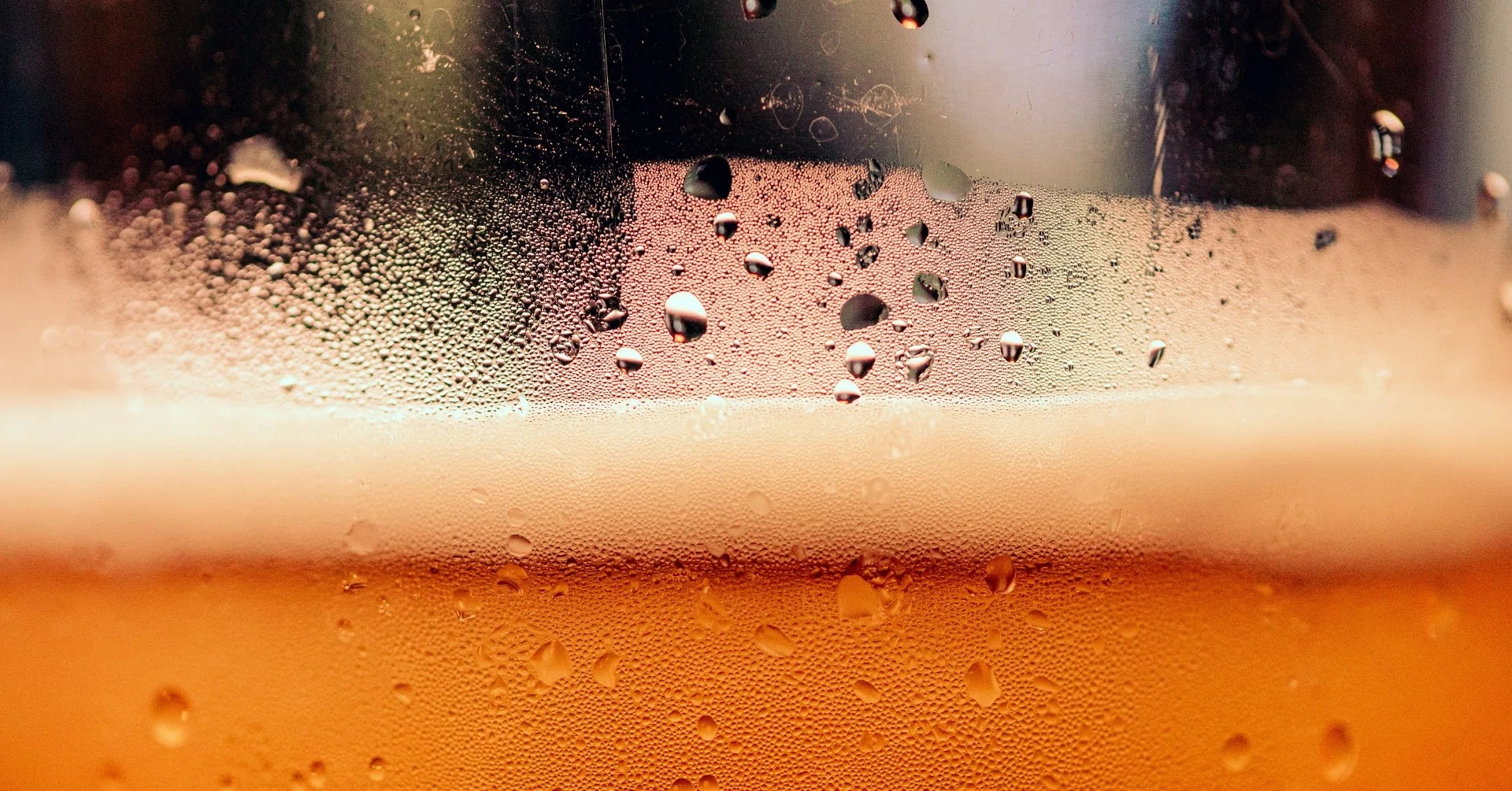 3lのハリネズミを飲み干したら チェコでサムライになった 旅するタコ Note
