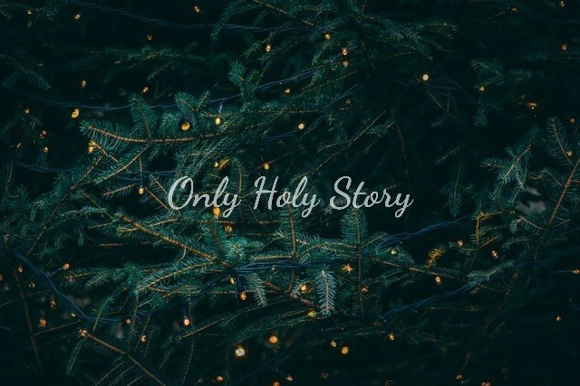 Only Holy Story Note Only Holy Story Note