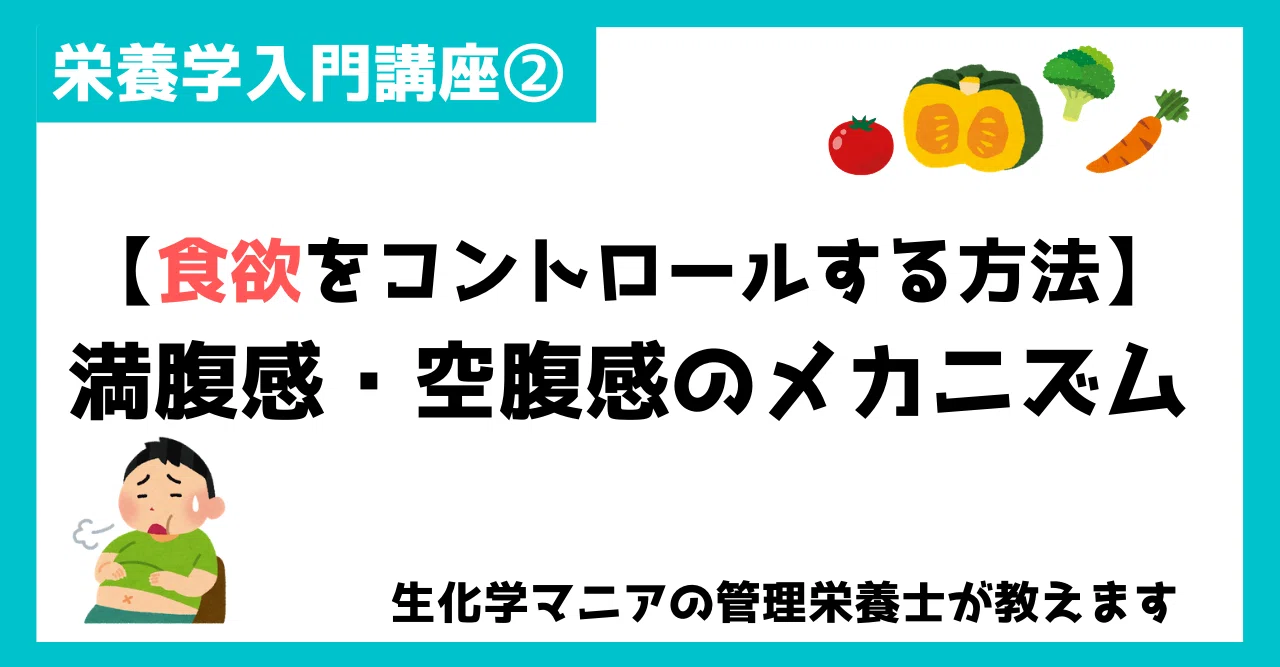 栄養学入門講座②満腹感・空腹感のメカニズム【食欲をコントロールする方法】|おかな│過食・リバウンドを克服した管理栄養士