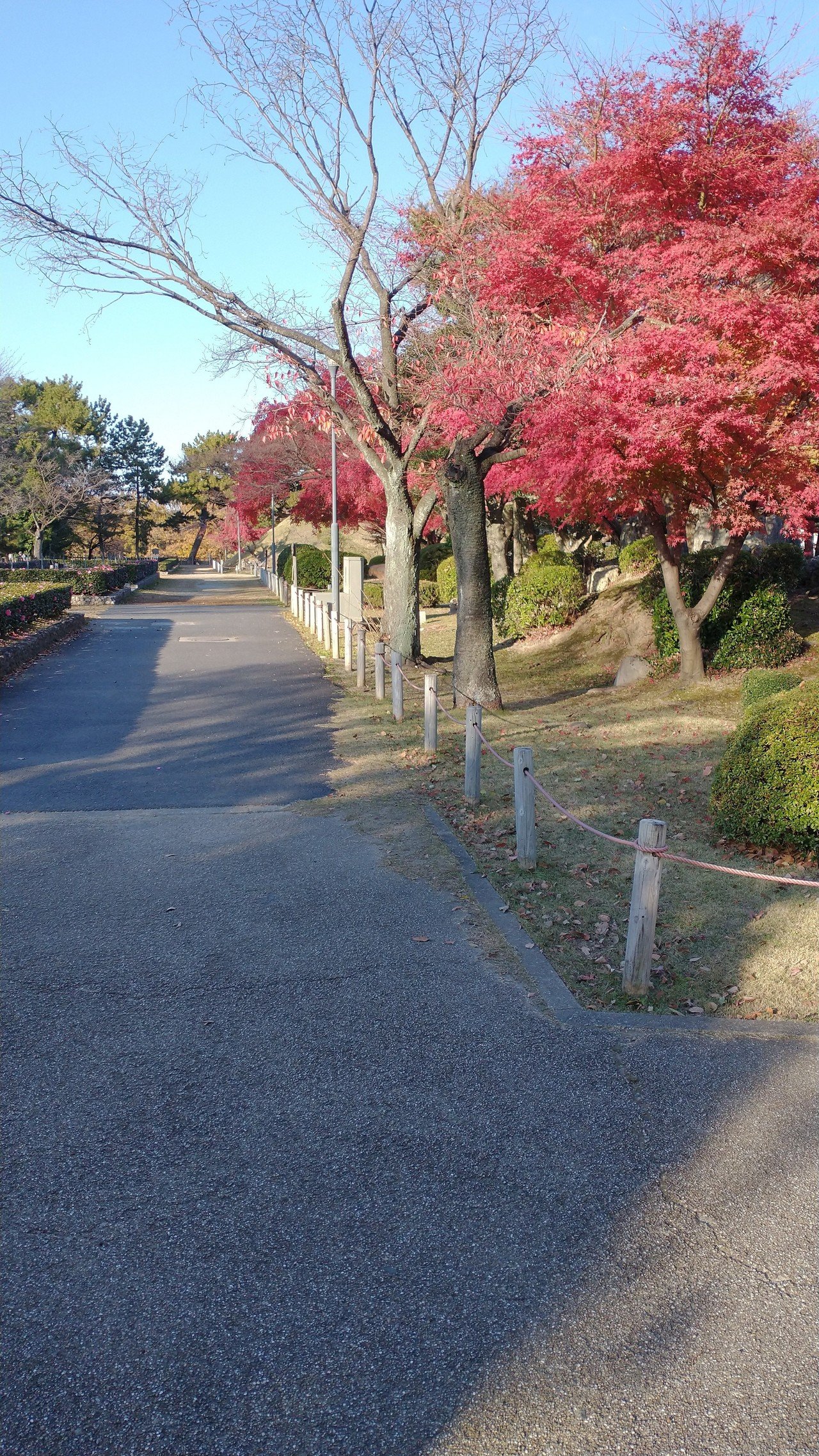 名古屋城 二の丸庭園と紅葉 Tak1974 Note