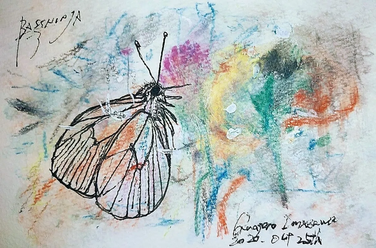 画像13