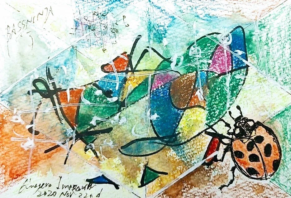 画像44
