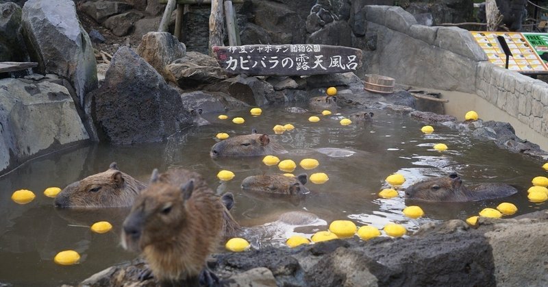 「コロナうつ」を吹き飛ばせ！　～温泉美人入浴法～