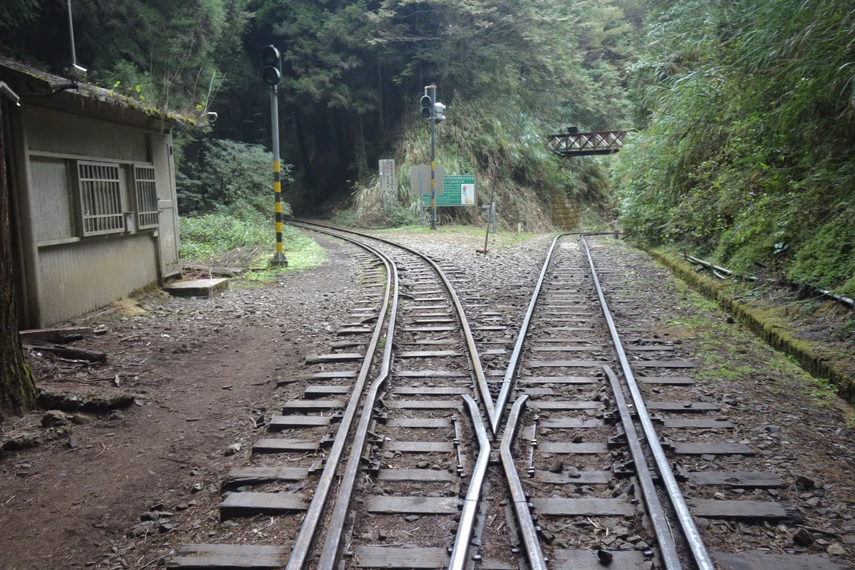 画像15