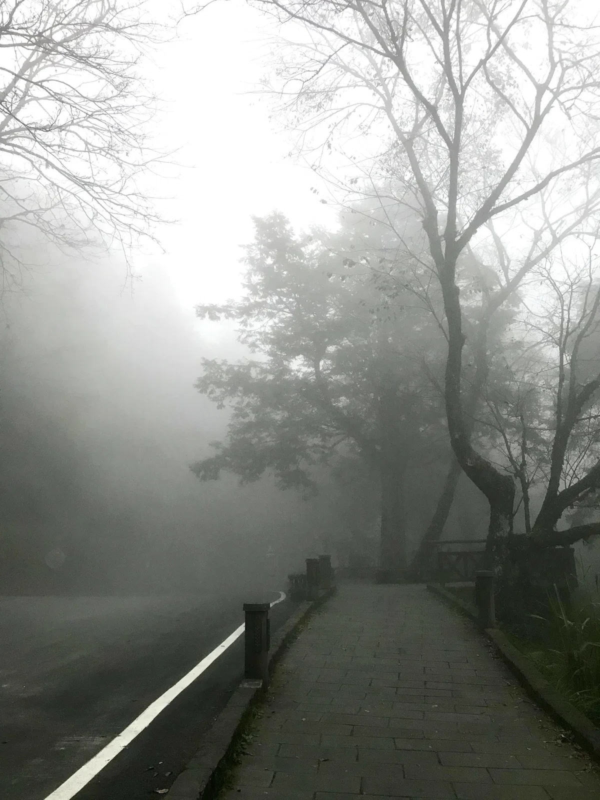 画像15