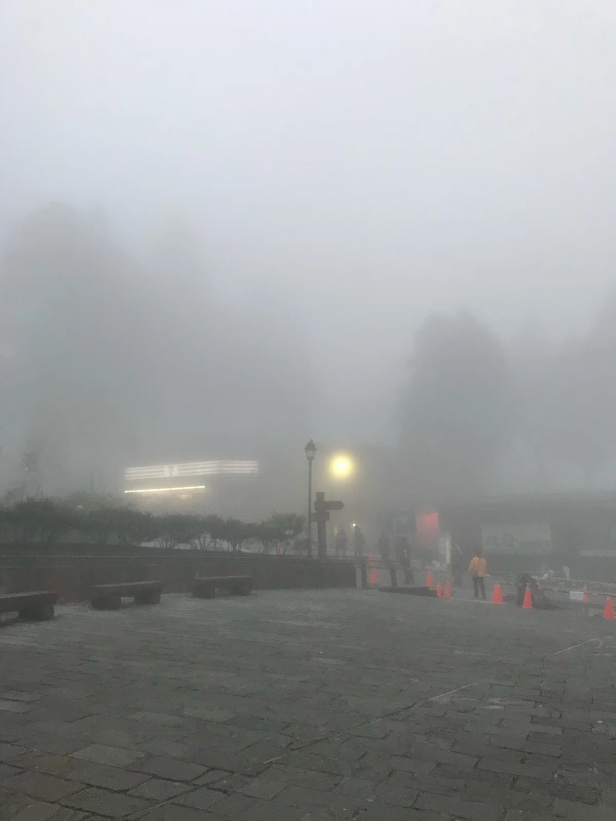 画像16