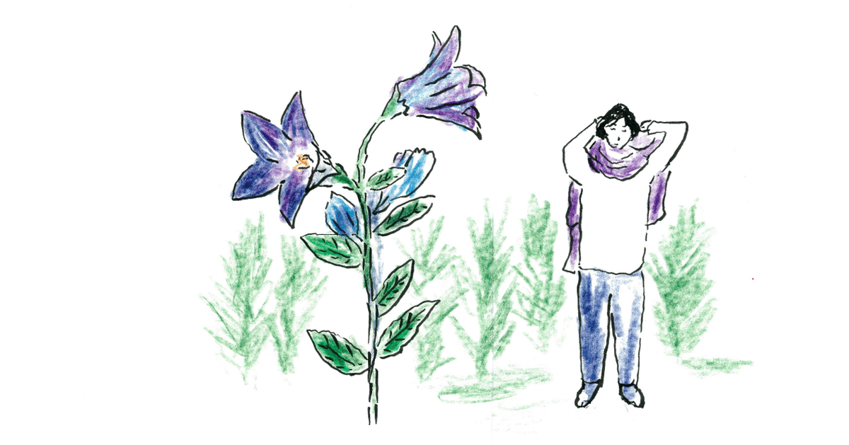 谷川俊太郎さんの北軽井沢の真四角の家/沢野ひとし｜世界文化社