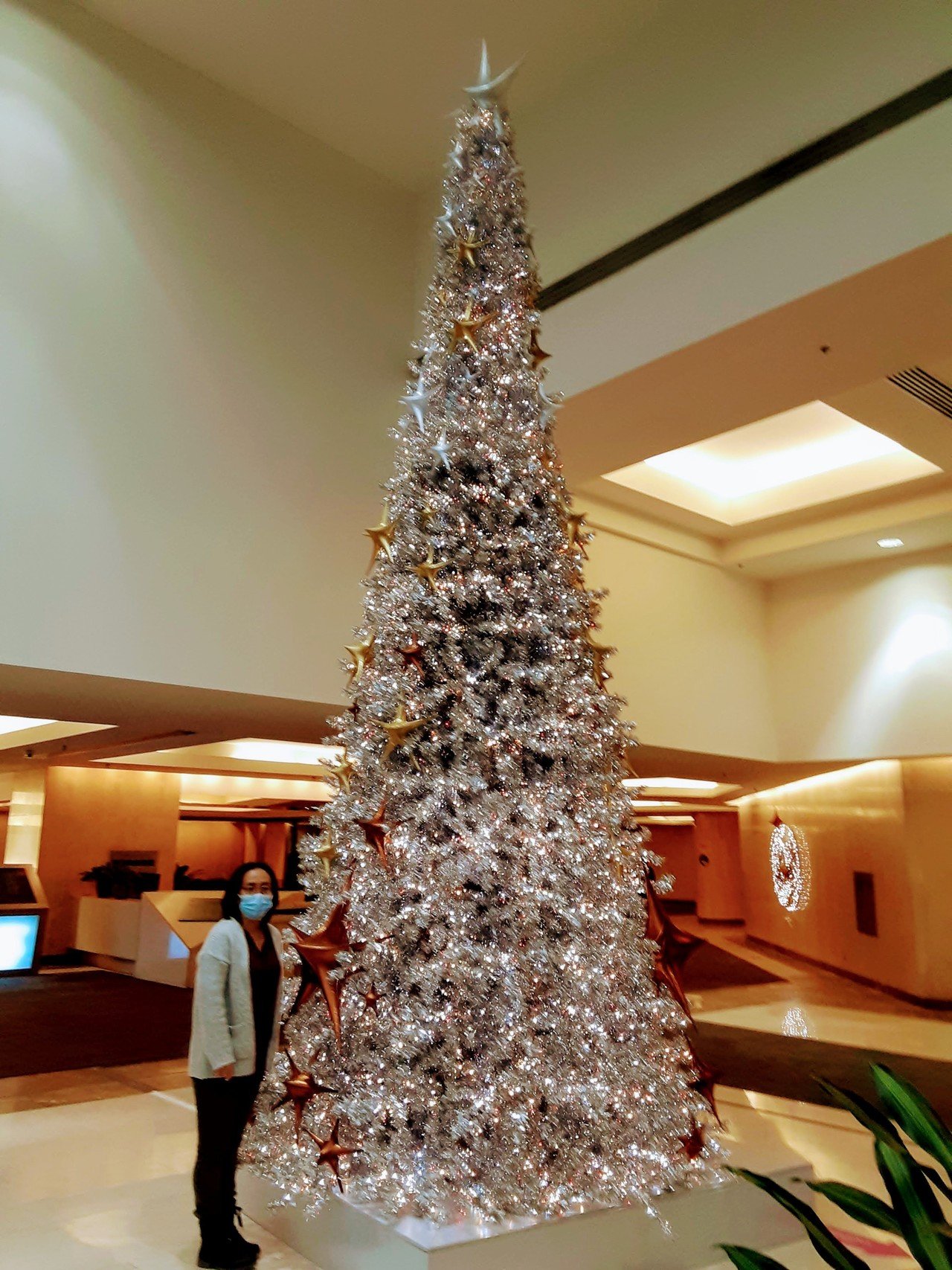 近所のモールのクリスマスツリーです 駐車時間が２時間しかなくて 忙しい買い物のついでにで撮りました そのせいか夫と二人で自撮りしたものはすべてブレてました もっとゆっくり丁寧に撮るべきでした 反省 笑子 J Montreal カナダ モントリオールよりお