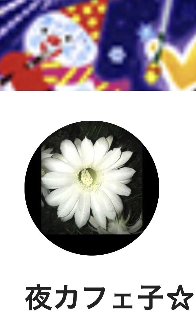 おはようございます 今日の名刺はサボテンの花 花言葉は 枯れない愛 よろしくお願いします Z 夜カフェ子 彡時間泥棒 雑談図書館 Note おはようございます 今日の名刺はサボテンの花 花言葉は 枯れない愛 よろしくお願いします Z 夜カフェ子 彡時間泥棒 雑談図書館 Note