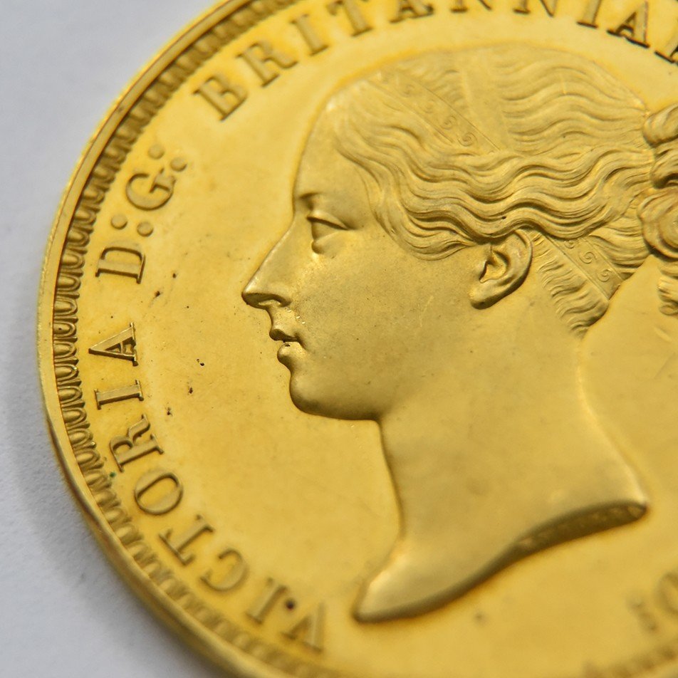 ウナとライオン金貨とは？ヴィクトリア女王5ポンド金貨発行の