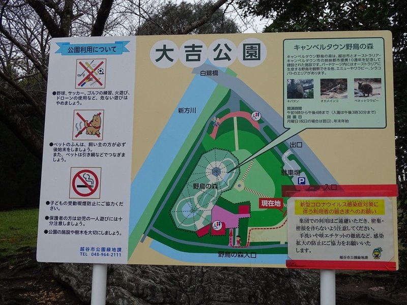 Zaso 031 埼玉県 キャンベルタウン野鳥の森 Zasoちゃんねる Note