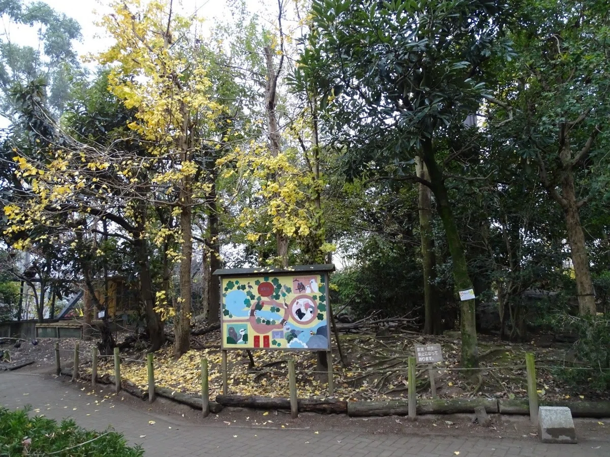 画像8