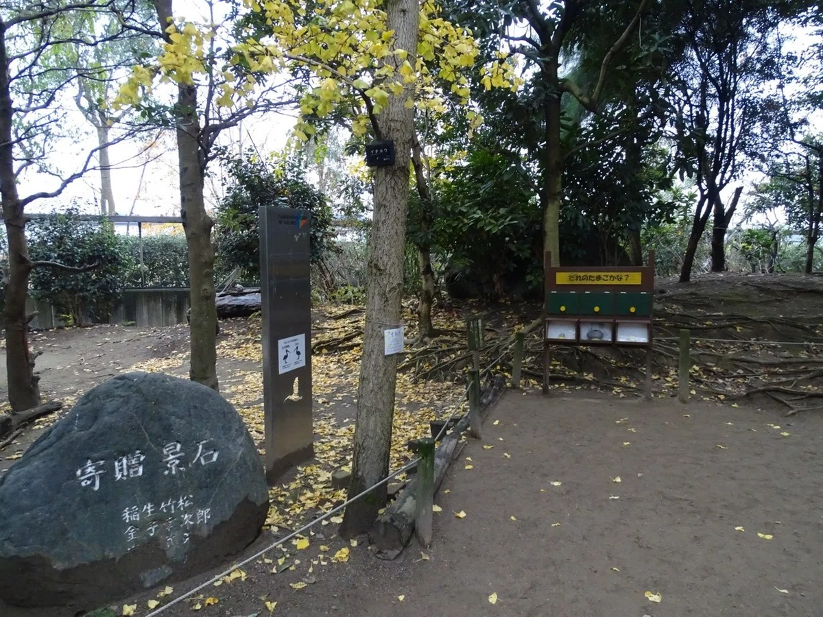 画像9