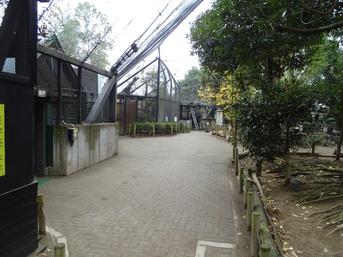 画像11