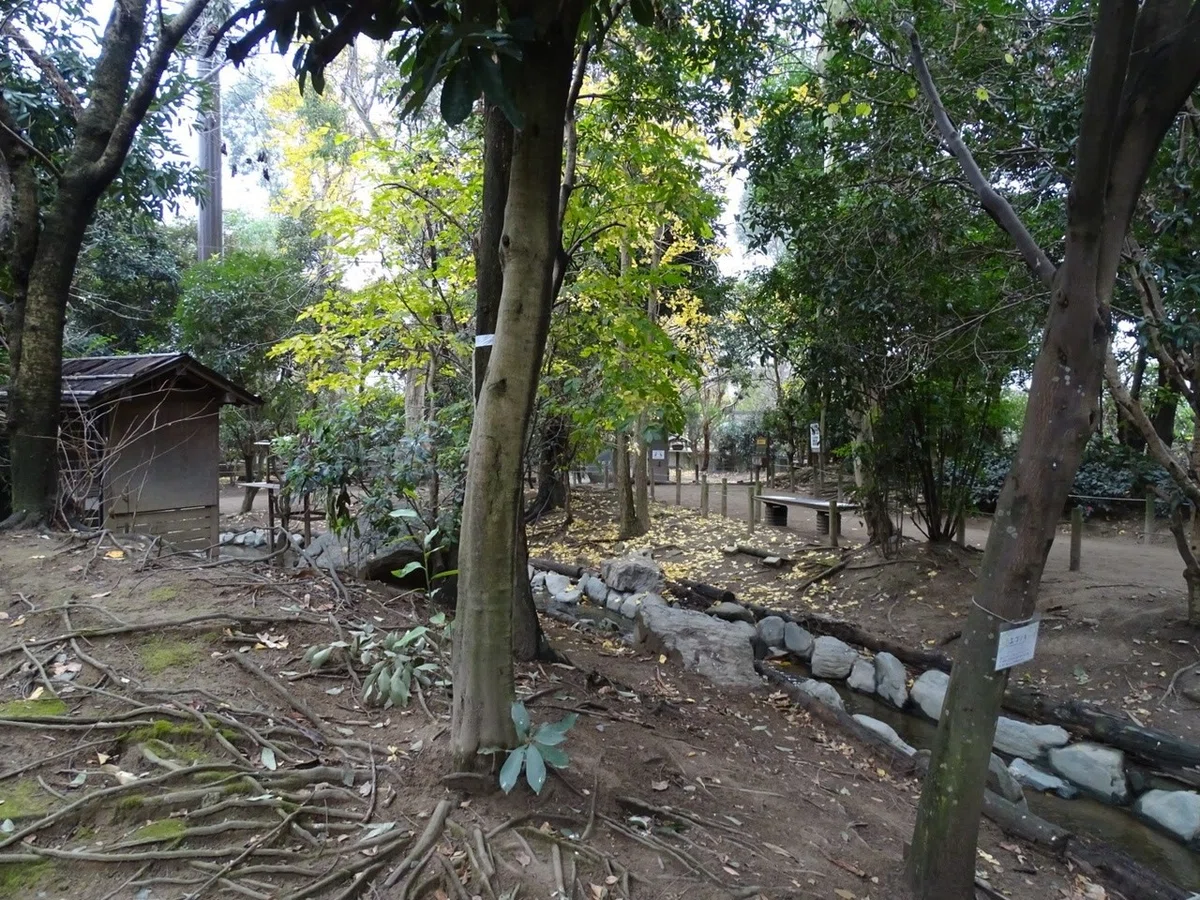 画像12