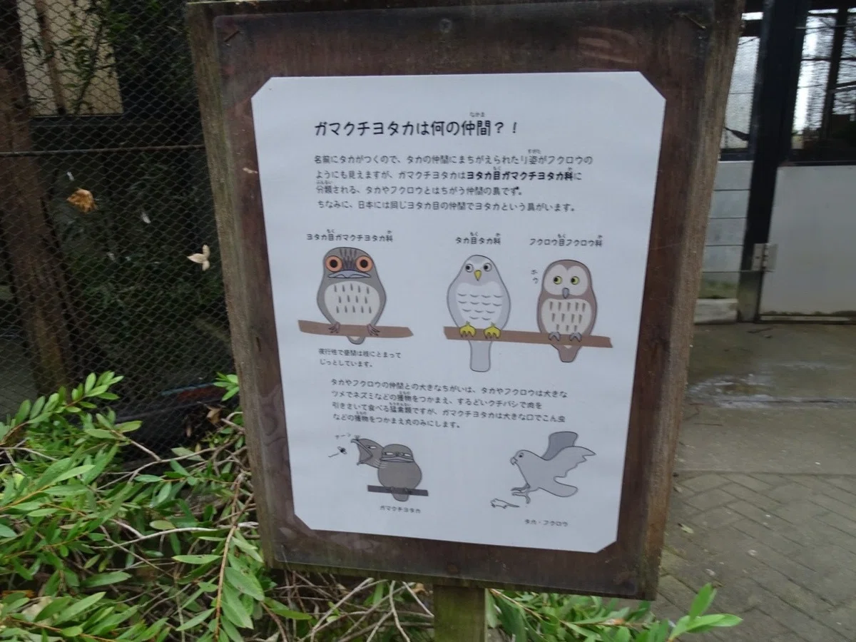 画像17