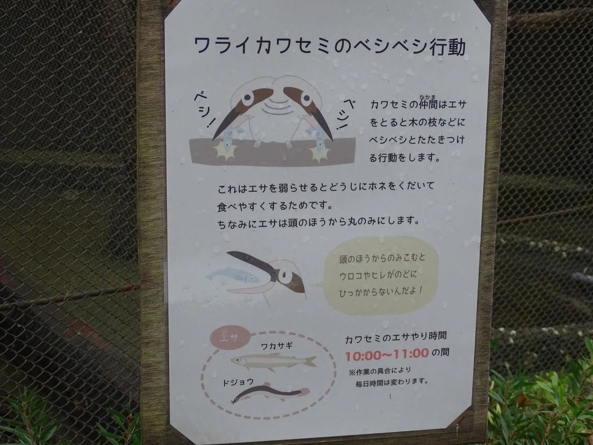 画像16