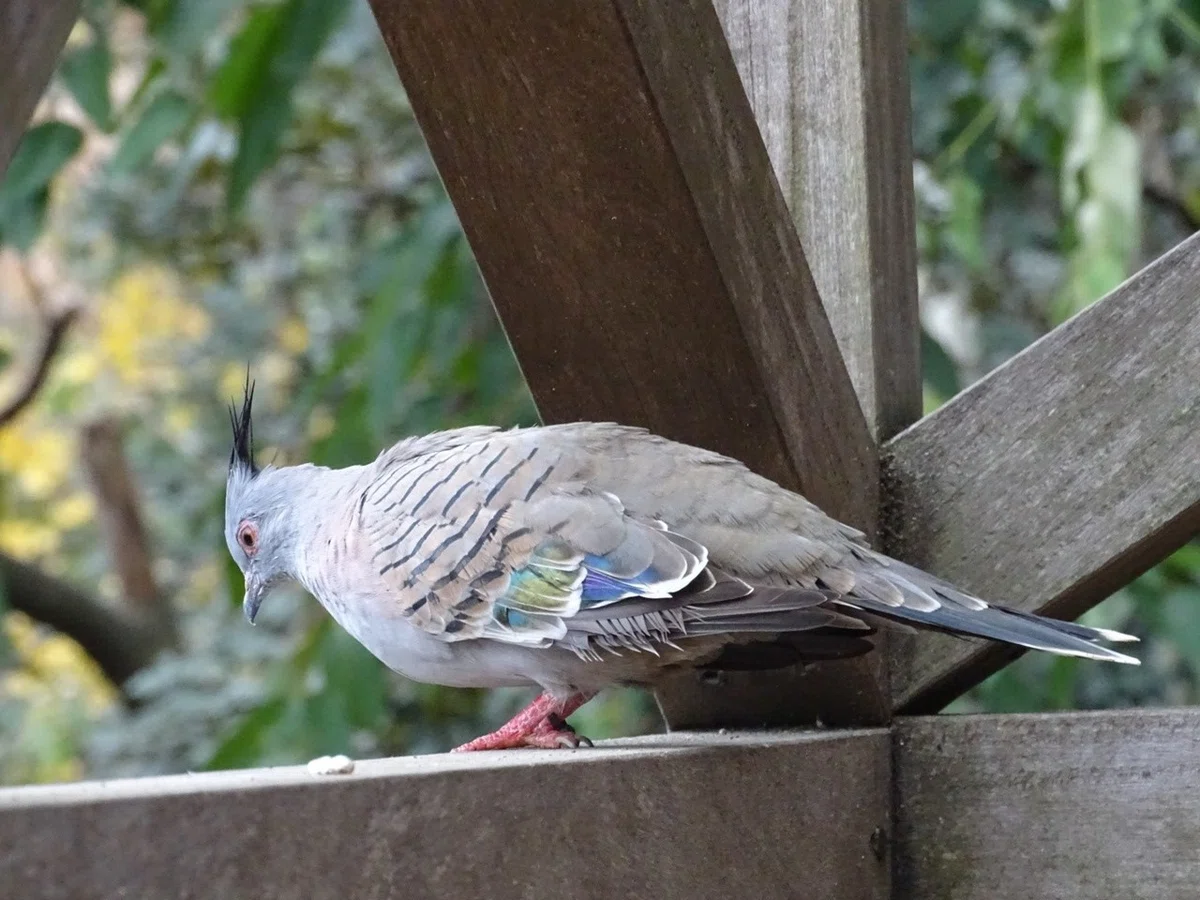 画像23