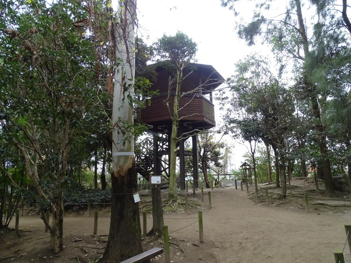 画像32