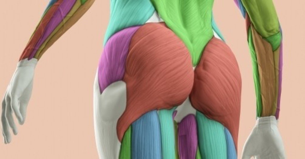 お尻の育て方 お尻の機能チェック付き みかんのバランスライフ Note