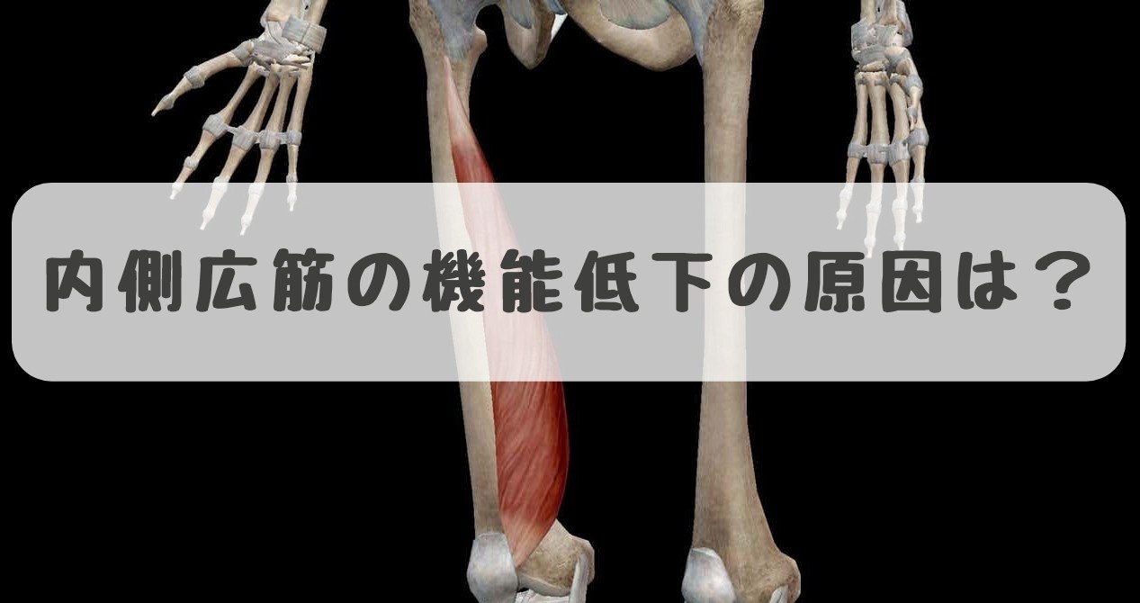 膝の痛みや ニーイン を生じさせてしまう内側広筋の機能低下の原因とそのチェック方法 セルフマッサージの仕方 だーまえ Note 膝の痛みや ニーイン を生じさせてしまう内側広筋の機能低下の原因とそのチェック方法 セルフマッサージの仕方 だーまえ Note