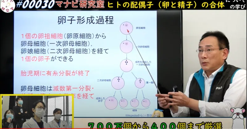 生殖 ヒトの配偶子 動画解説 マナビ研究室 Note