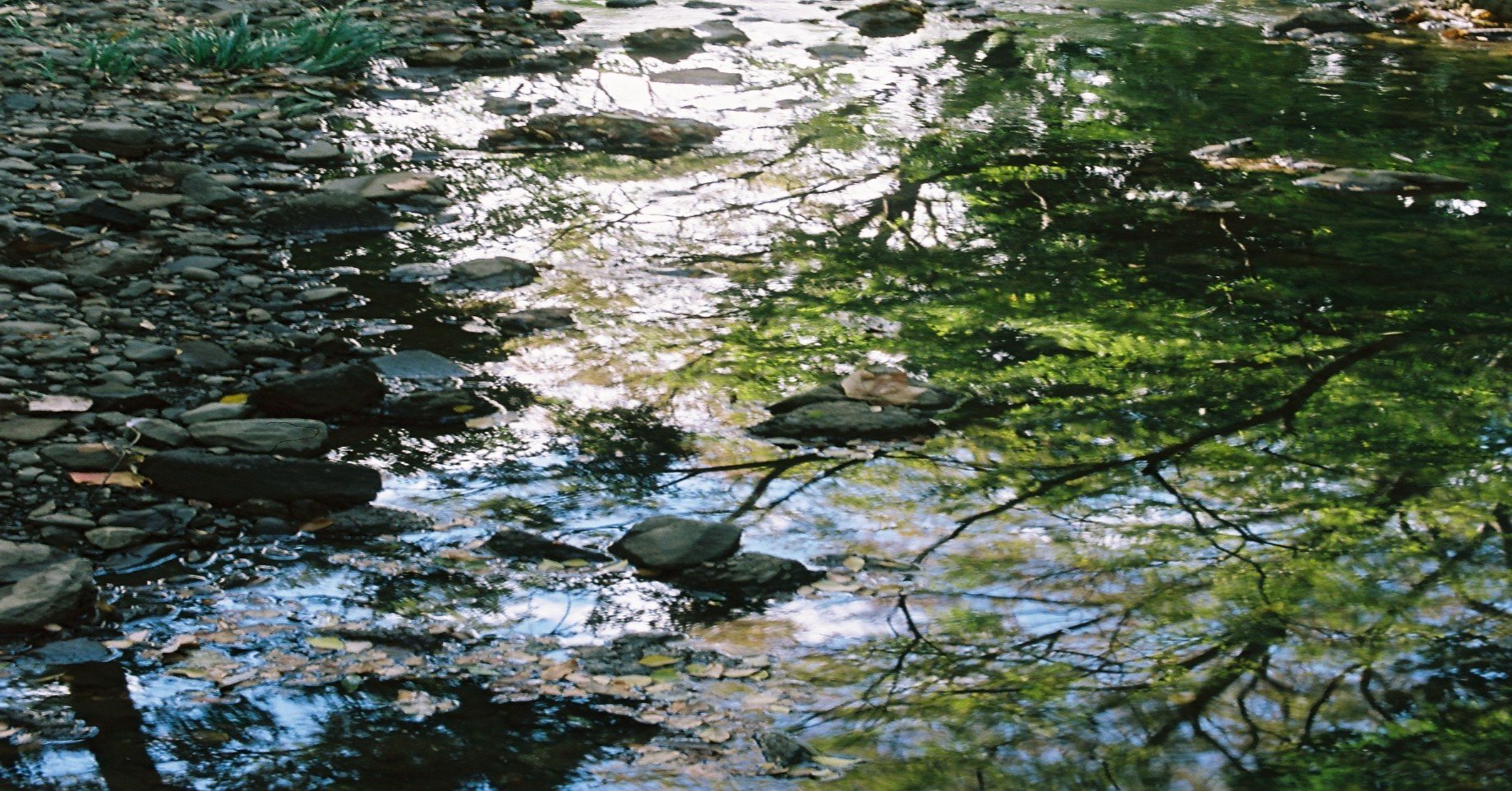 ３５ 令和の白拍子清く 正しく 逞しく 宝塚音楽学校ライフ 予科生編 元タカラジェンヌー花柳まり草 Marikusahanayagiー令和の白拍子 Note