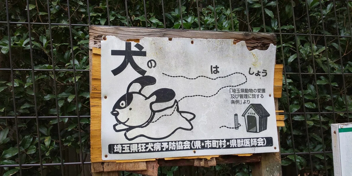 画像39