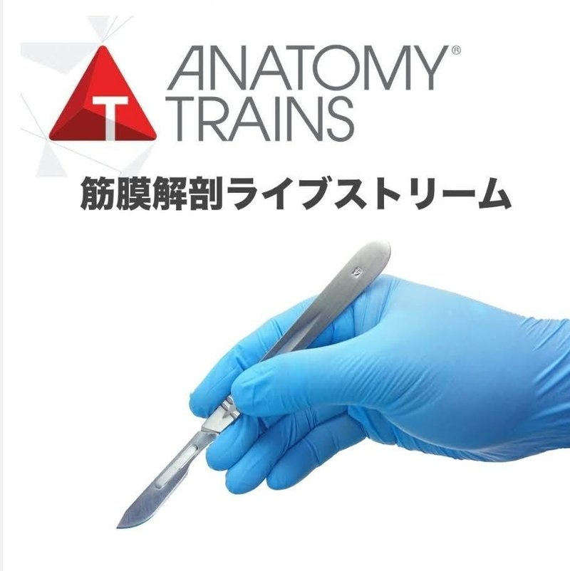 コロラド州 心斎橋の人体解剖体験 踊る理学療法士アラキタカヒロ Note コロラド州 心斎橋の人体解剖体験 踊る理学療法士アラキタカヒロ Note