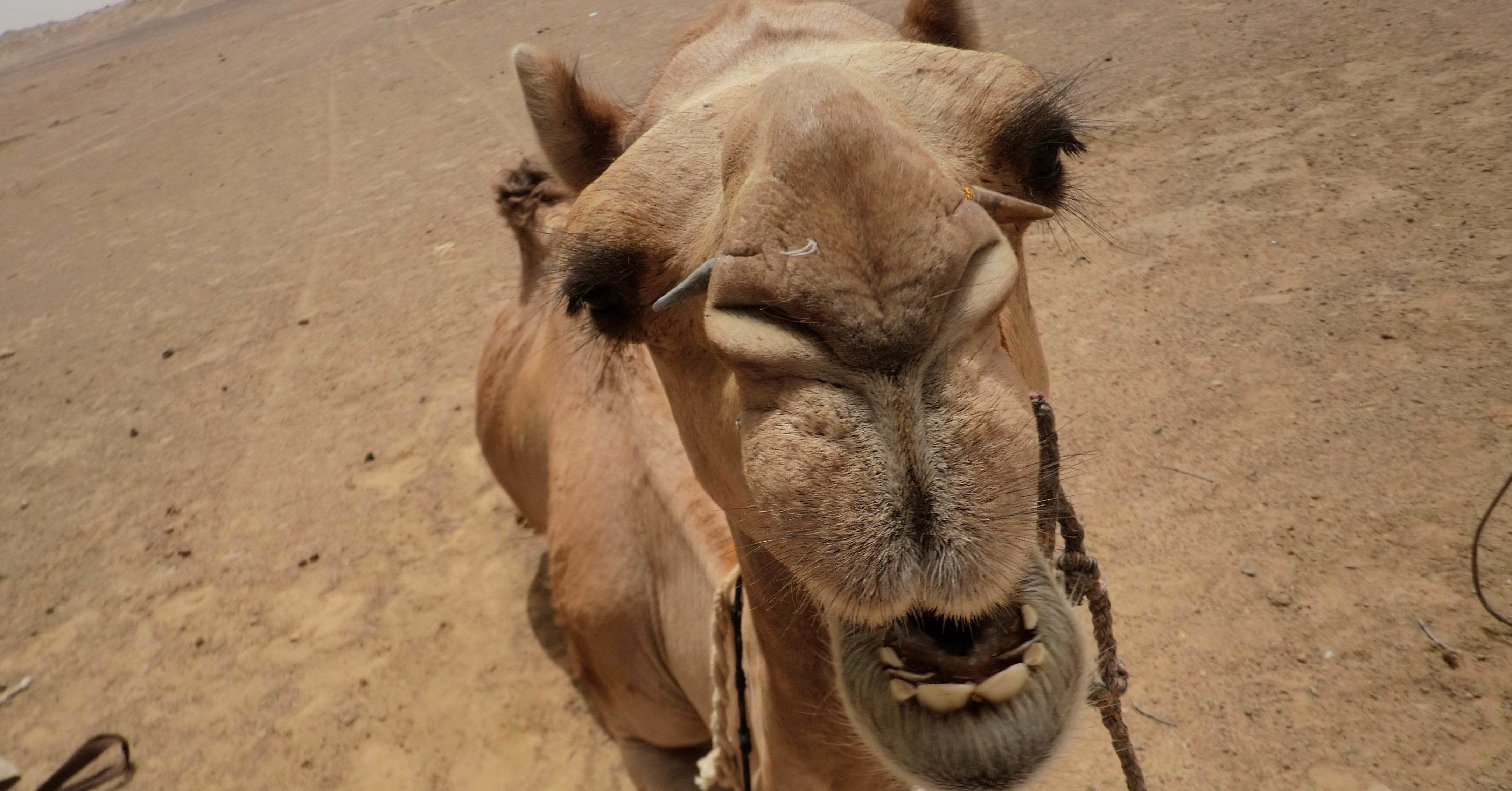 私の睫毛事情 ま Note