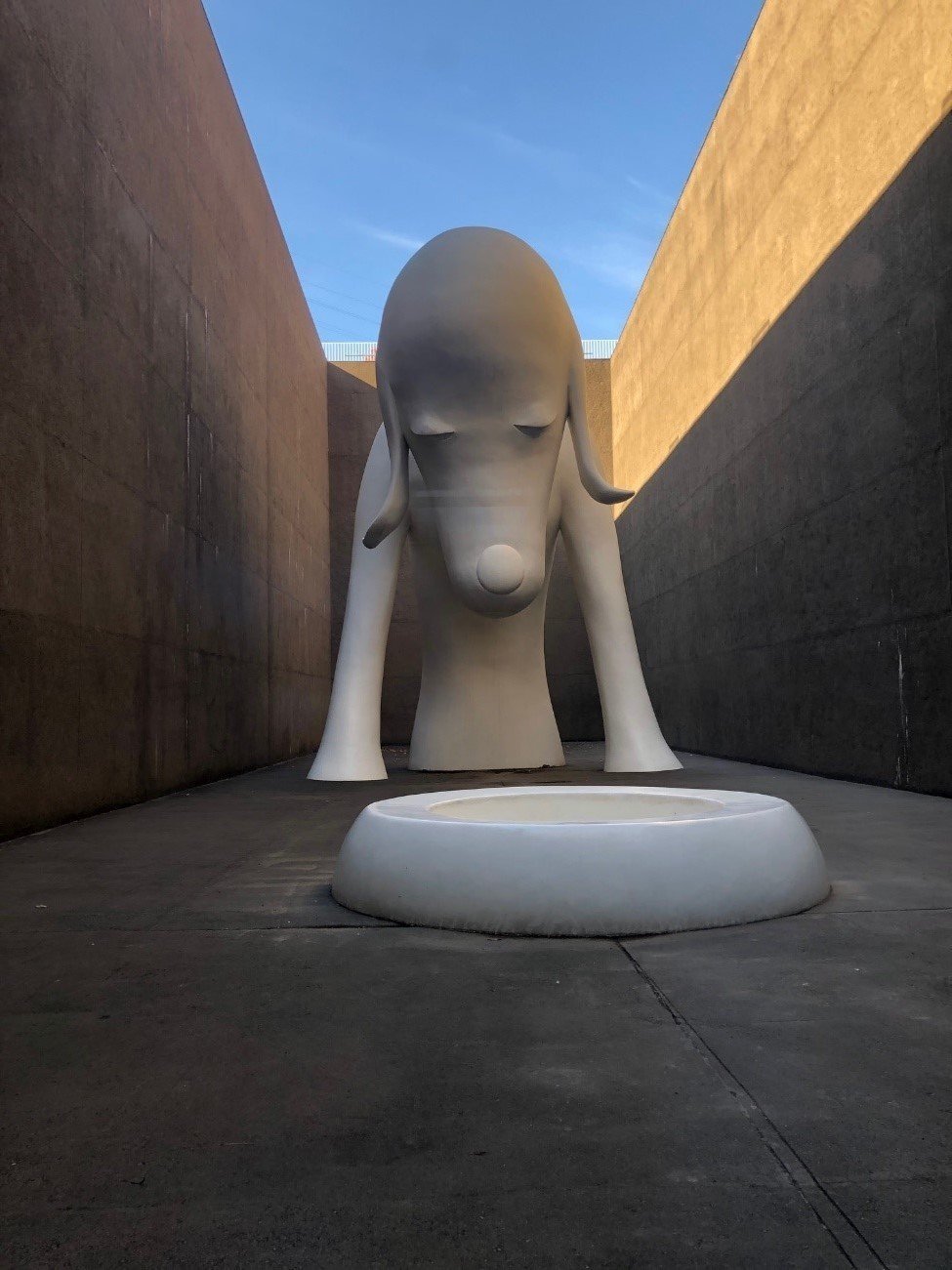 第4回 青森県にいるあおもり犬！？｜KOA Lab