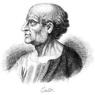 Cato Triptyque