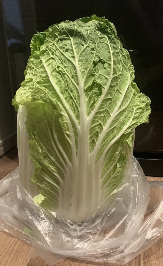 白菜の浅漬けを食べたことがない私が 手作り浅漬けに挑戦した話 猪狩はな Note 白菜の浅漬けを食べたことがない私が 手作り浅漬けに挑戦した話 猪狩はな Note
