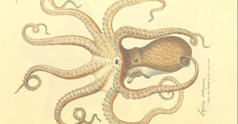 心の欧米とタコとデビルフィッシュ 赤坂パトリシア Note