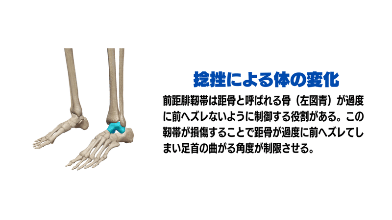 キック動作と軸足足首の痛み サッカー選手 向けフィジカルサポートnote 石橋 哲平 Note キック動作と軸足足首の痛み サッカー選手 向けフィジカルサポートnote 石橋 哲平 Note