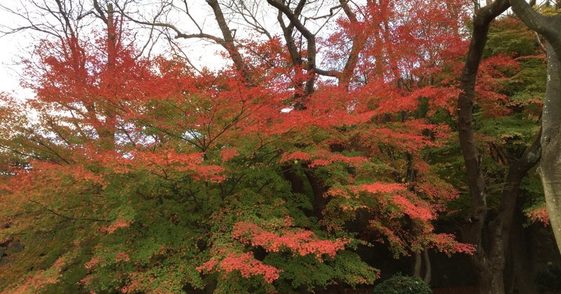 鬼滅の刃の映画無限列車篇 ついに見ました 板さん note