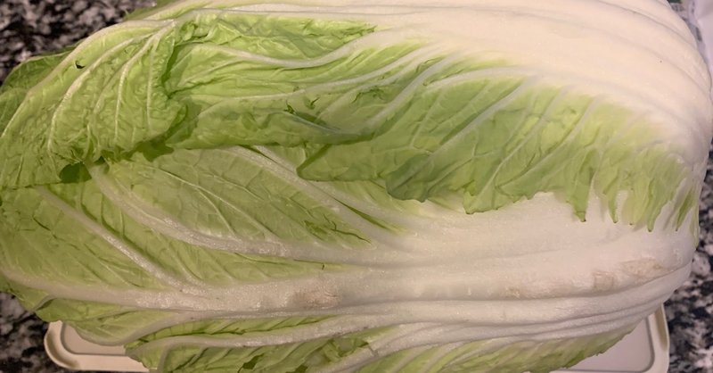 白菜の浅漬けを食べたことがない私が 手作り浅漬けに挑戦した話 猪狩はな Note