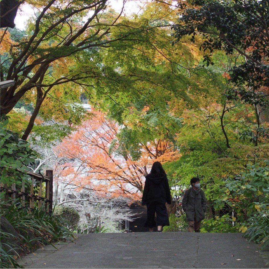 妙本寺参道