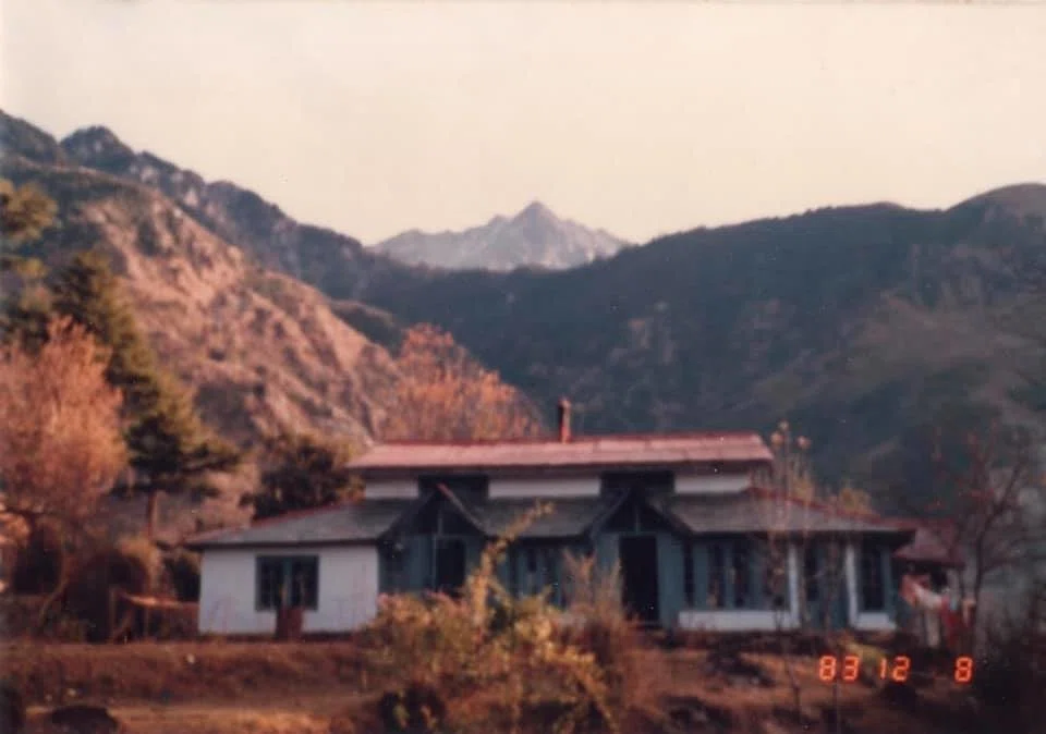 画像9