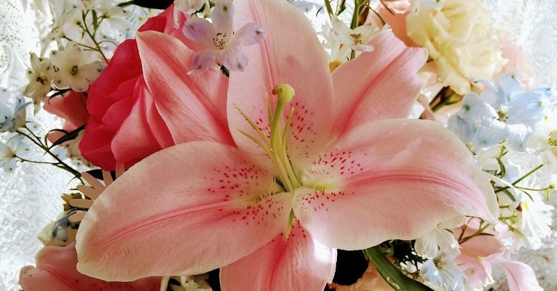 八王子のおすすめの花屋 の新着タグ記事一覧 Note つくる つながる とどける