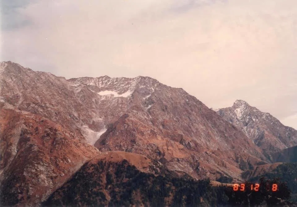 画像13