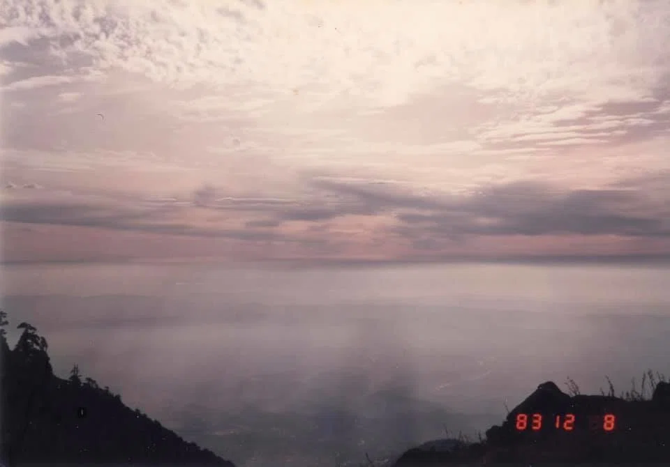 画像14