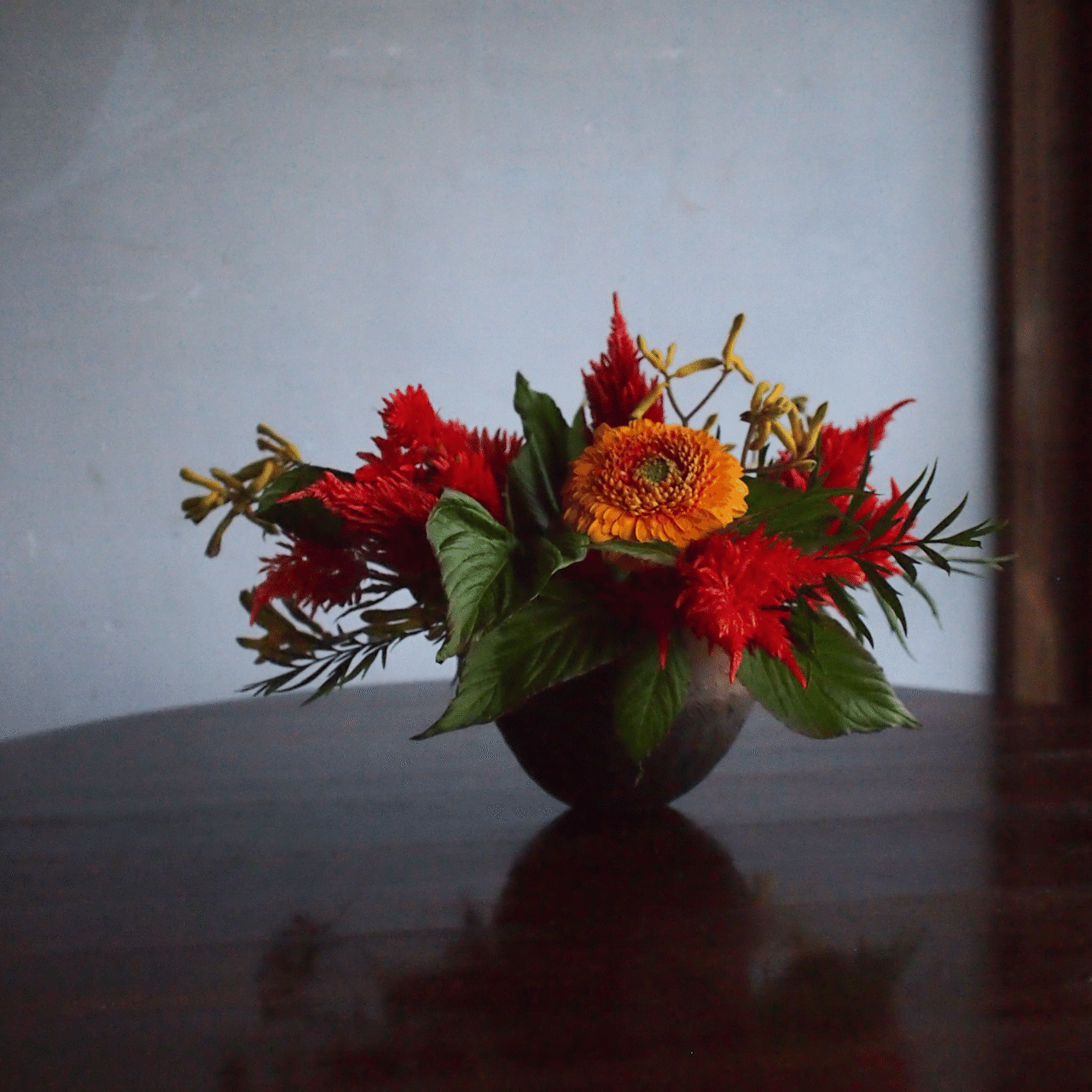 新しい幕開けに寄せて｜花の歳時記｜hanaike はないけ