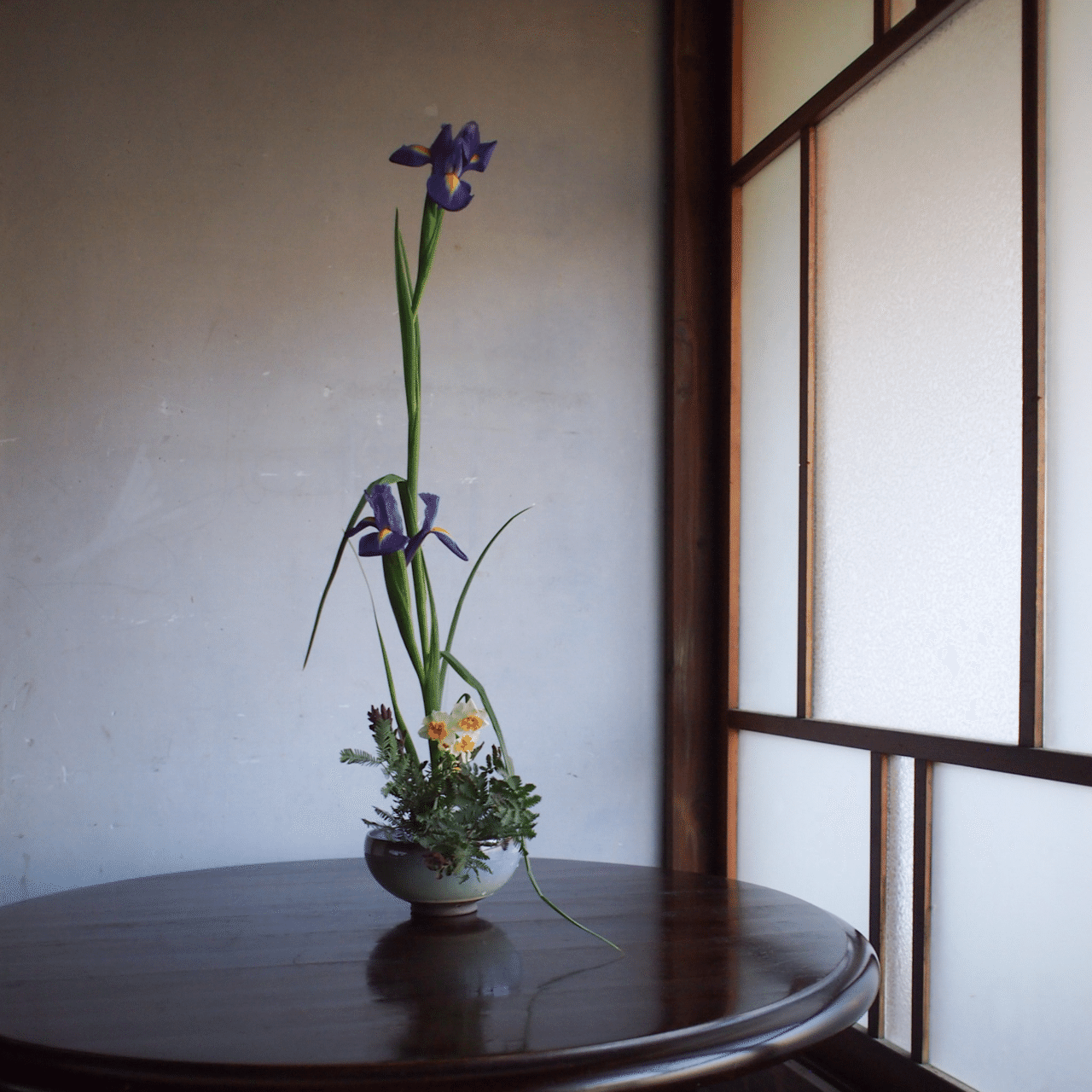 新しい幕開けに寄せて｜花の歳時記｜hanaike はないけ