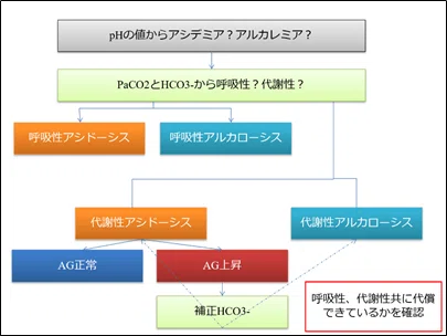 これでわかる 血ガス分析アルゴリズム 小ノ澤 呼吸ケア Note