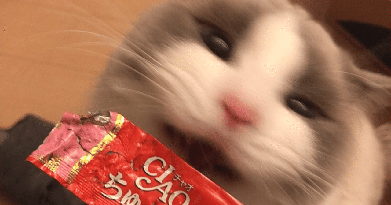 いっさいのおとこのこ Unlucky Morpheus Note