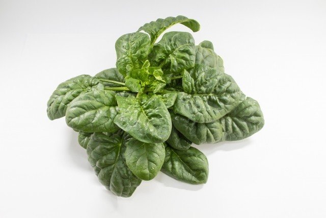 ちぢみほうれん草粥のレシピ 貧血予防 風邪予防 便秘解消に 鈴木かゆ 生米からつくるおかゆのレシピ Note