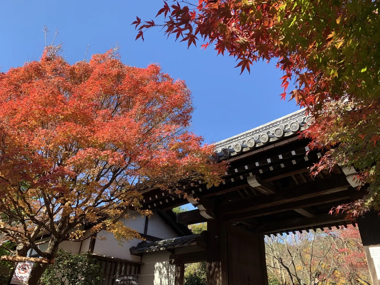 禅の教えを実感できる 大雲山 龍安寺 洛西 京都 ジョリオ Note 禅の教えを実感できる 大雲山 龍安寺 洛西 京都 ジョリオ Note