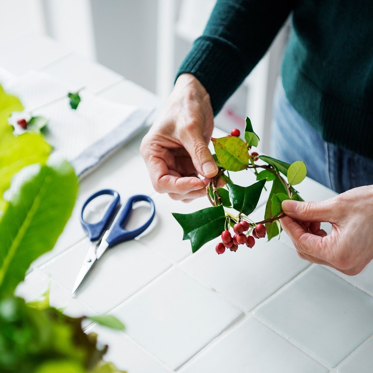 庭を見ながら料理する毎日が楽しい スパイスとハーブと栗原はるみ
